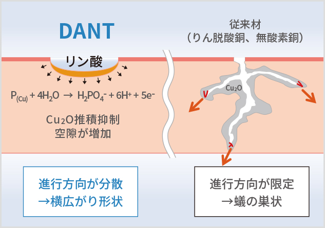 DANT